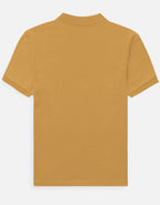 Back_3_c_43.jpg