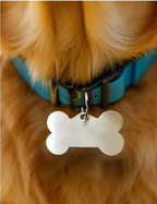 Pet Tags