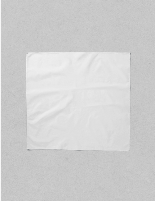 Aop Scarf