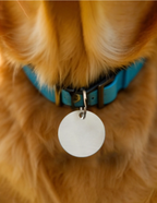 Pet Tags