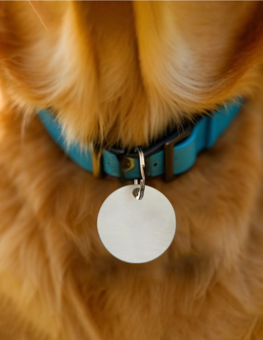Pet Tags