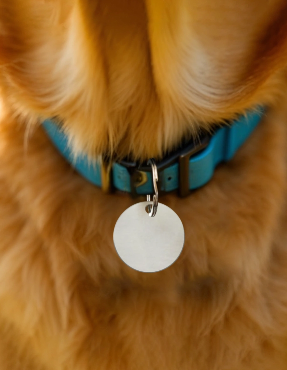 Pet Tags