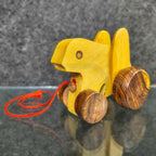 2 Pcs Wooden Pull Along Toy Combo – Animal & Snail Wooden Toys for Kids