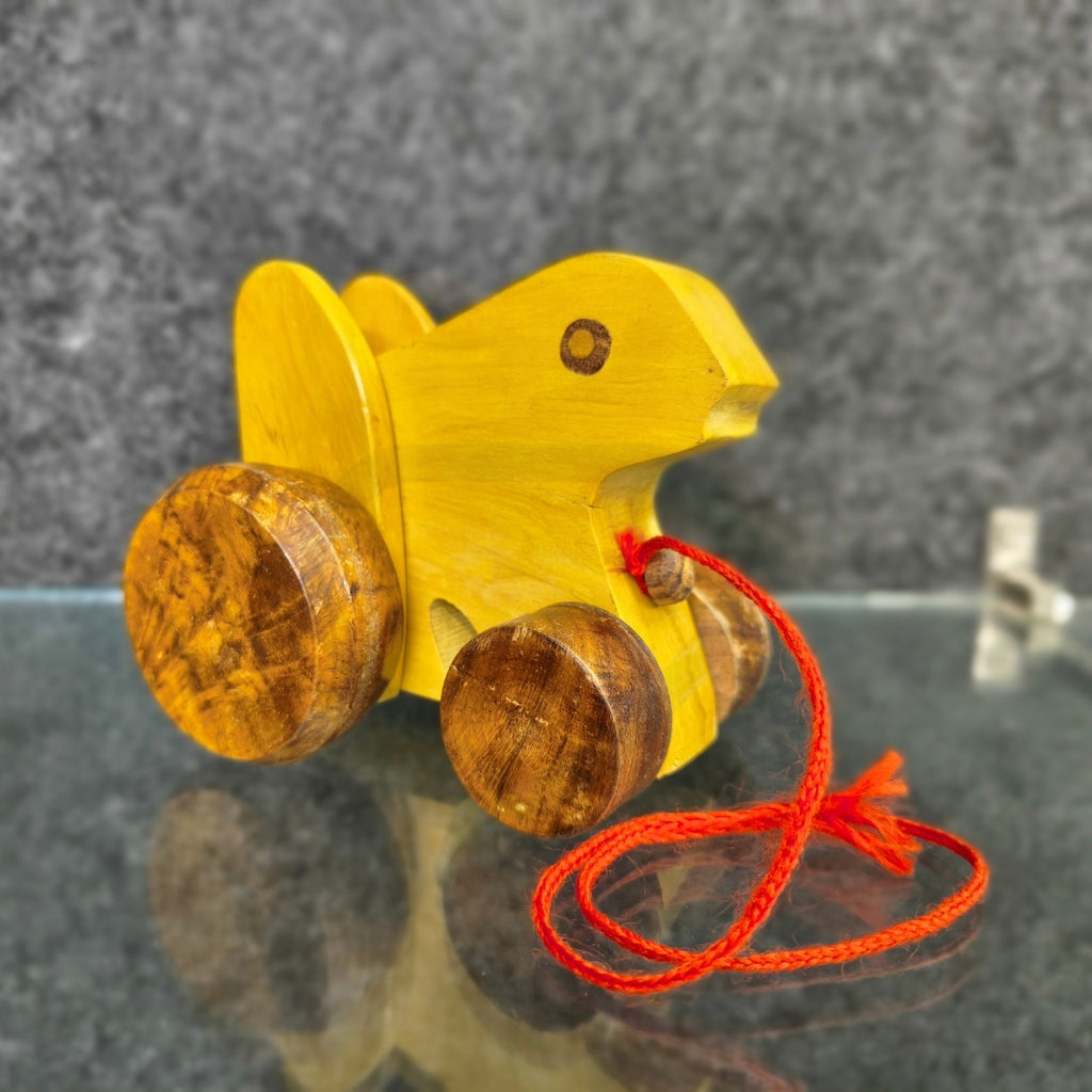 2 Pcs Wooden Pull Along Toy Combo – Animal & Snail Wooden Toys for Kids