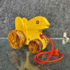 2 Pcs Wooden Pull Along Toy Combo – Animal & Snail Wooden Toys for Kids